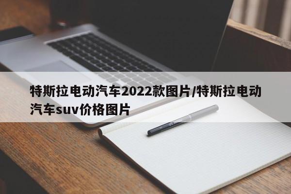 特斯拉电动汽车2022款图片/特斯拉电动汽车suv价格图片
