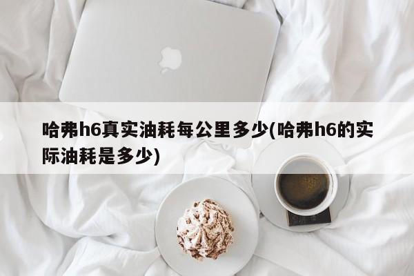 哈弗h6真实油耗每公里多少(哈弗h6的实际油耗是多少)